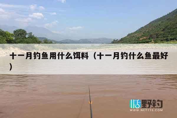 十一月钓鱼用什么饵料（十一月钓什么鱼最好）