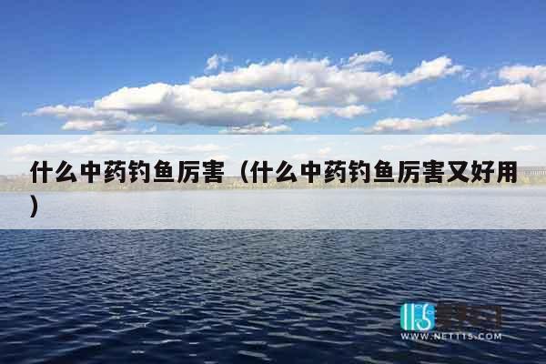 什么中药钓鱼厉害（什么中药钓鱼厉害又好用）