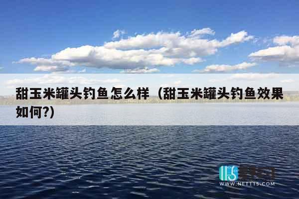 甜玉米罐头钓鱼怎么样（甜玉米罐头钓鱼效果如何?）