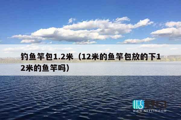 钓鱼竿包1.2米（12米的鱼竿包放的下12米的鱼竿吗）
