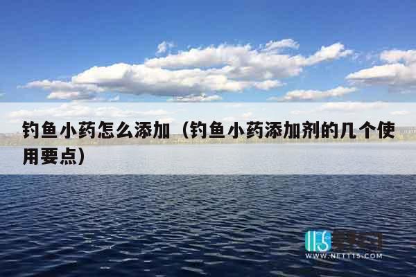 钓鱼小药怎么添加（钓鱼小药添加剂的几个使用要点）