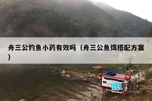 舟三公钓鱼小药有效吗（舟三公鱼饵搭配方案）