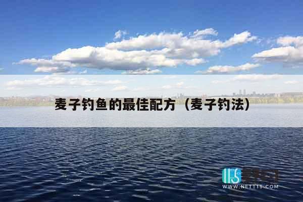 麦子钓鱼的最佳配方（麦子钓法）