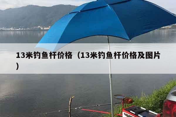 13米钓鱼杆价格（13米钓鱼杆价格及图片）