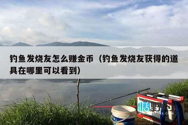 钓鱼发烧友怎么赚金币（钓鱼发烧友获得的道具在哪里可以看到）