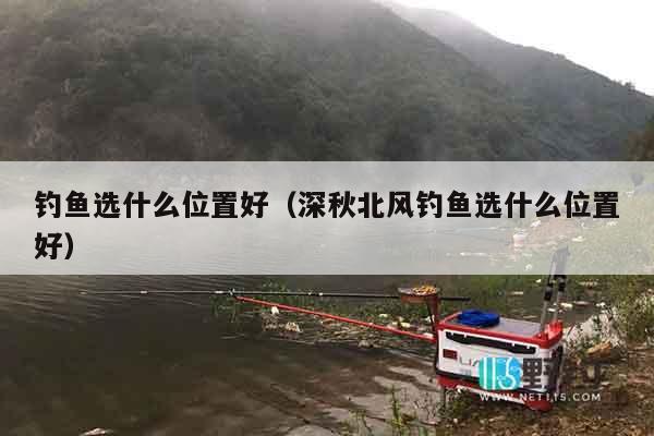 钓鱼选什么位置好（深秋北风钓鱼选什么位置好）
