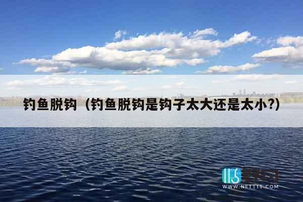 钓鱼脱钩（钓鱼脱钩是钩子太大还是太小?）