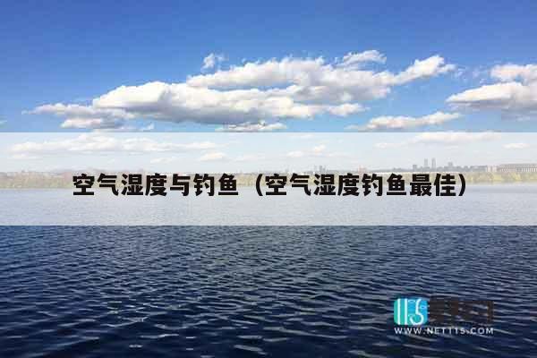 空气湿度与钓鱼（空气湿度钓鱼最佳）