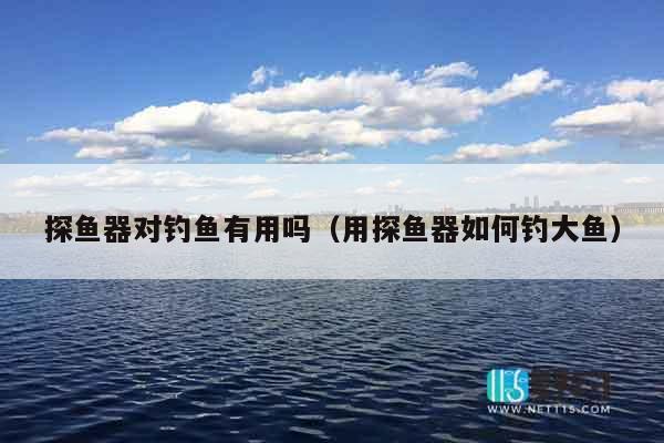 探鱼器对钓鱼有用吗（用探鱼器如何钓大鱼）