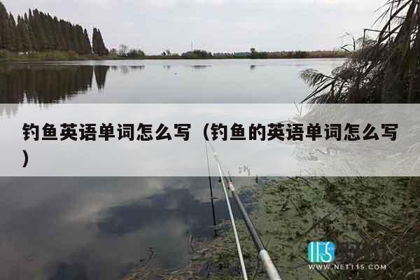 钓鱼英语单词怎么写（钓鱼的英语单词怎么写）