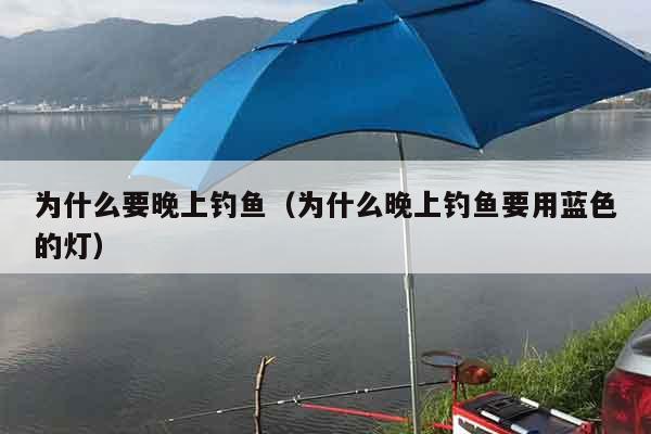 为什么要晚上钓鱼（为什么晚上钓鱼要用蓝色的灯）