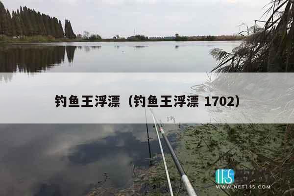 钓鱼王浮漂（钓鱼王浮漂 1702）