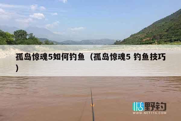 孤岛惊魂5如何钓鱼（孤岛惊魂5 钓鱼技巧）