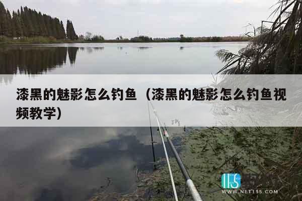 漆黑的魅影怎么钓鱼（漆黑的魅影怎么钓鱼视频教学）