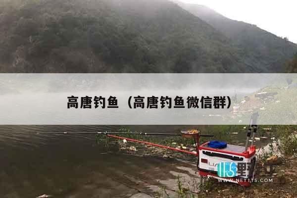 高唐钓鱼（高唐钓鱼微信群）