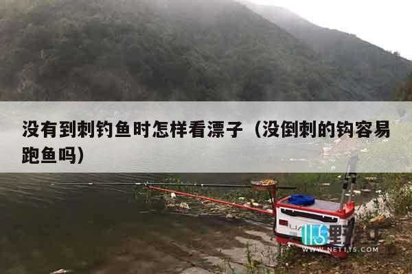 没有到刺钓鱼时怎样看漂子（没倒刺的钩容易跑鱼吗）