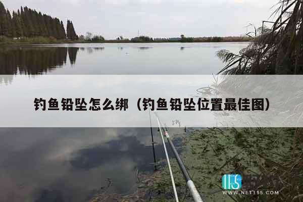 钓鱼铅坠怎么绑（钓鱼铅坠位置最佳图）