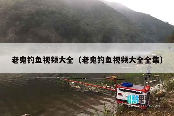 老鬼钓鱼视频大全（老鬼钓鱼视频大全全集）