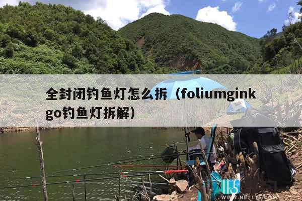 全封闭钓鱼灯怎么拆（foliumginkgo钓鱼灯拆解）