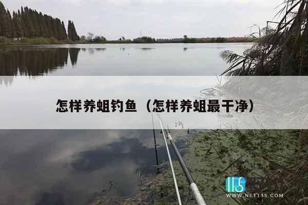 怎样养蛆钓鱼（怎样养蛆最干净）
