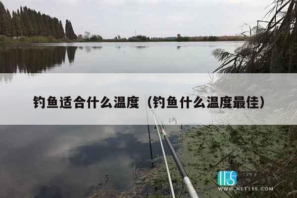 钓鱼适合什么温度（钓鱼什么温度最佳）