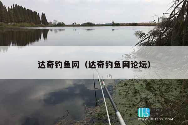 达奇钓鱼网（达奇钓鱼网论坛）