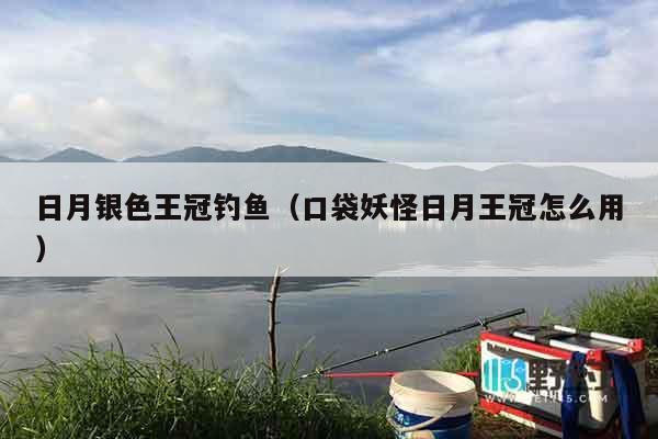 日月银色王冠钓鱼（口袋妖怪日月王冠怎么用）