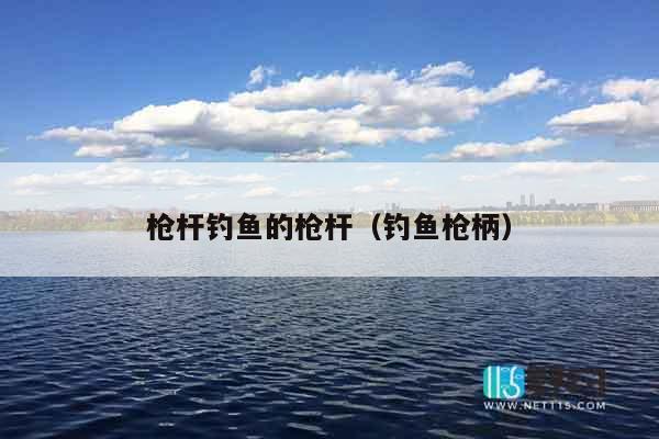 枪杆钓鱼的枪杆（钓鱼枪柄）
