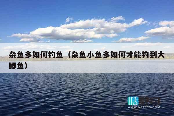 杂鱼多如何钓鱼（杂鱼小鱼多如何才能钓到大鲫鱼）