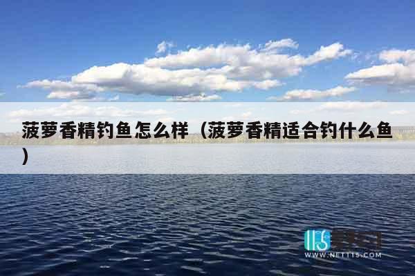 菠萝香精钓鱼怎么样（菠萝香精适合钓什么鱼）