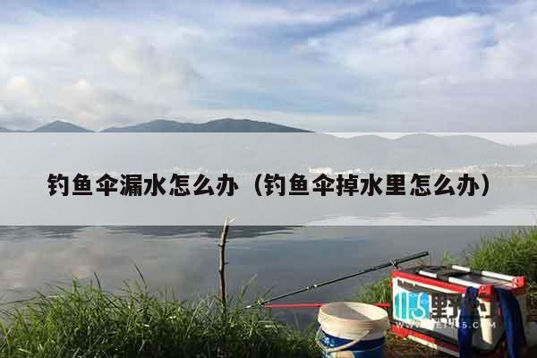 钓鱼伞漏水怎么办（钓鱼伞掉水里怎么办）
