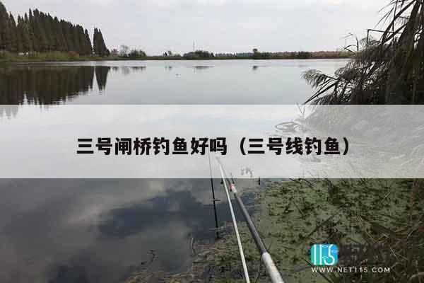 三号闸桥钓鱼好吗（三号线钓鱼）
