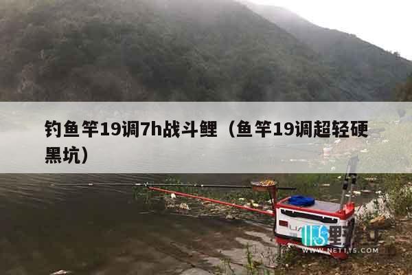 钓鱼竿19调7h战斗鲤（鱼竿19调超轻硬黑坑）