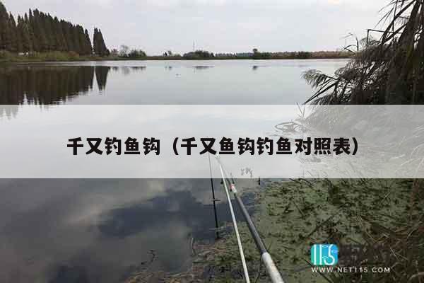 千又钓鱼钩（千又鱼钩钓鱼对照表）