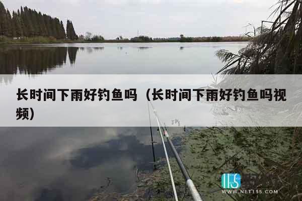 长时间下雨好钓鱼吗（长时间下雨好钓鱼吗视频）