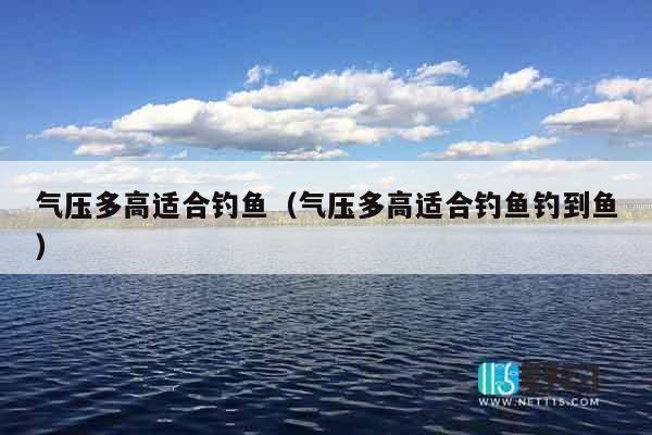 气压多高适合钓鱼（气压多高适合钓鱼钓到鱼）