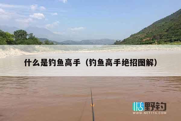 什么是钓鱼高手（钓鱼高手绝招图解）