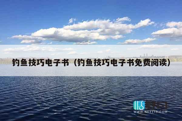 钓鱼技巧电子书（钓鱼技巧电子书免费阅读）