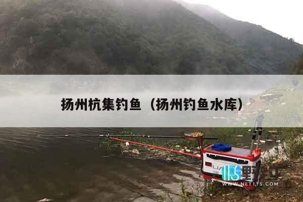 扬州杭集钓鱼（扬州钓鱼水库）