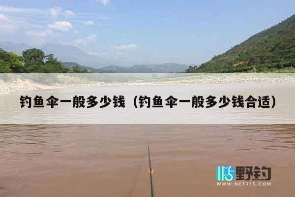 钓鱼伞一般多少钱（钓鱼伞一般多少钱合适）