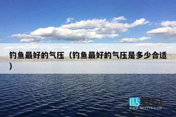 钓鱼最好的气压（钓鱼最好的气压是多少合适）