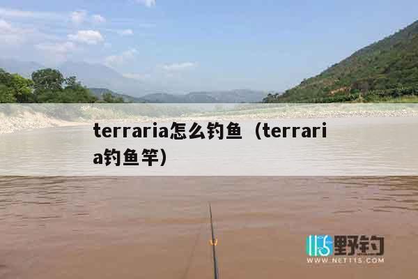 terraria怎么钓鱼（terraria钓鱼竿）