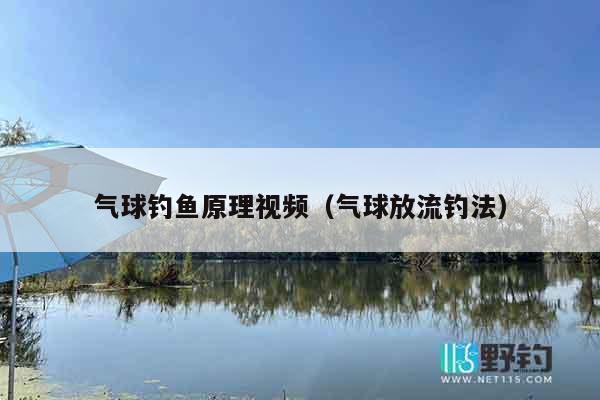 气球钓鱼原理视频（气球放流钓法）