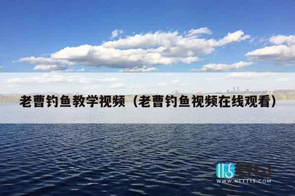 老曹钓鱼教学视频（老曹钓鱼视频在线观看）