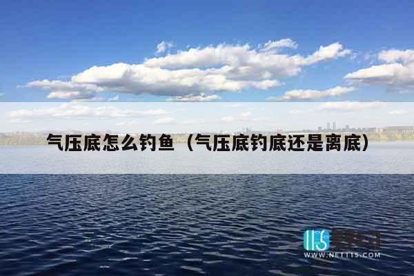 气压底怎么钓鱼（气压底钓底还是离底）