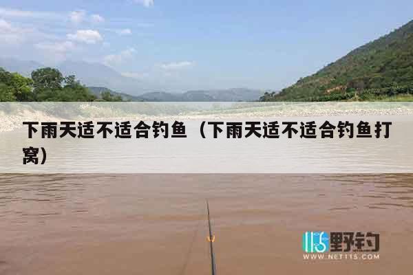 下雨天适不适合钓鱼（下雨天适不适合钓鱼打窝）