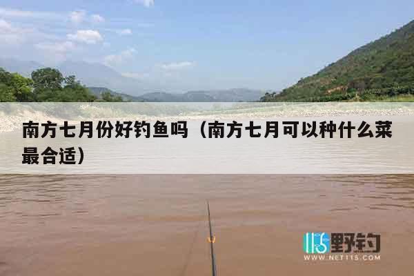 南方七月份好钓鱼吗（南方七月可以种什么菜最合适）