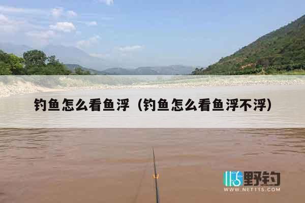 钓鱼怎么看鱼浮（钓鱼怎么看鱼浮不浮）