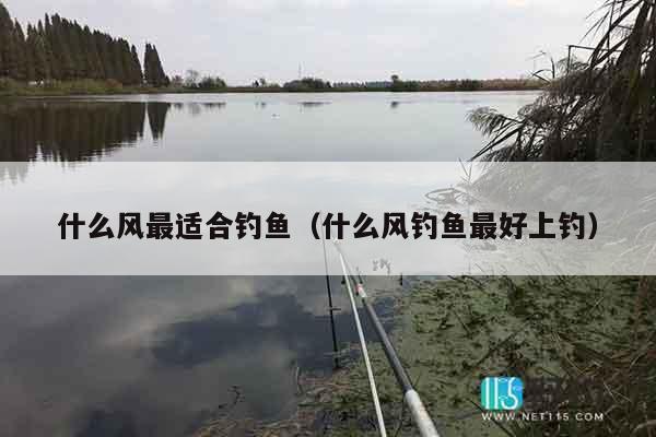 什么风最适合钓鱼（什么风钓鱼最好上钓）