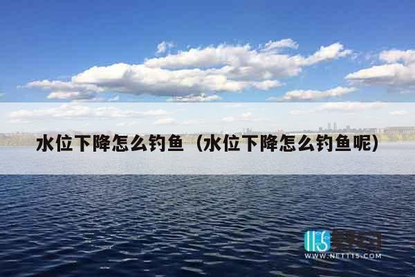 水位下降怎么钓鱼（水位下降怎么钓鱼呢）